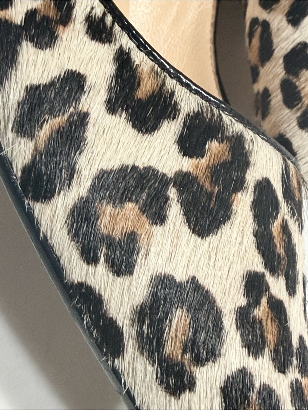 Ann Taylor Leopard-Print Pointed Toe Flats - Black, Brown, Cream - Picture 9 of 15